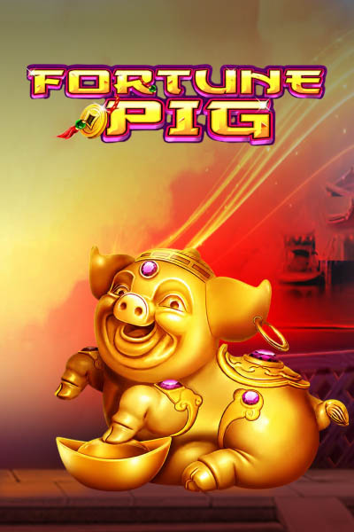 Fortune Pig